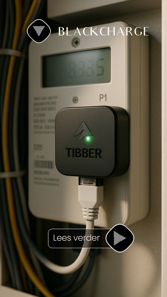 Een praktische gids voor het installeren van uw Tibber Pulse en het uitlezen van live verbruiksdata